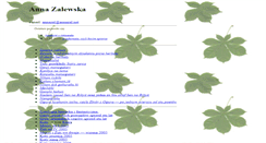 Desktop Screenshot of annazal.net