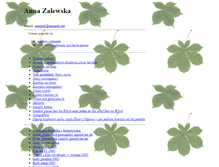 Tablet Screenshot of annazal.net